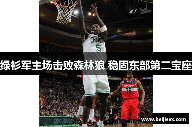 绿衫军主场击败森林狼 稳固东部第二宝座