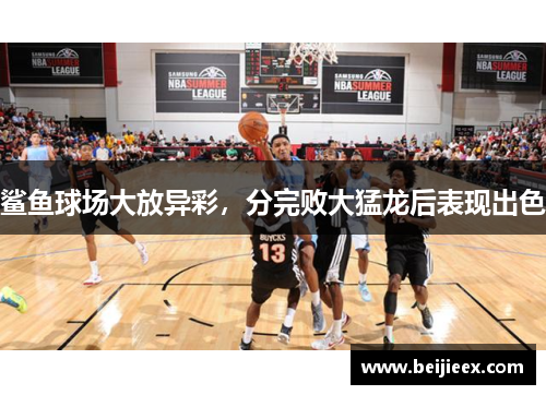 鲨鱼球场大放异彩，分完败大猛龙后表现出色