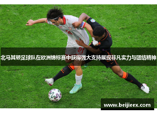 北马其顿足球队在欧洲锦标赛中获得强大支持展现非凡实力与团结精神