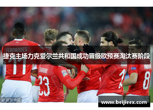 捷克主场力克爱尔兰共和国成功晋级欧预赛淘汰赛阶段