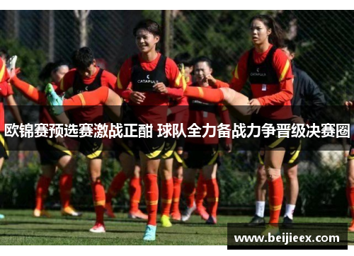 欧锦赛预选赛激战正酣 球队全力备战力争晋级决赛圈