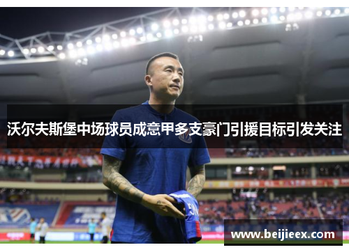 沃尔夫斯堡中场球员成意甲多支豪门引援目标引发关注