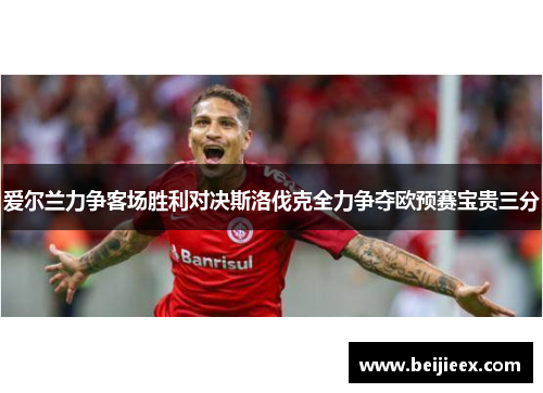 爱尔兰力争客场胜利对决斯洛伐克全力争夺欧预赛宝贵三分