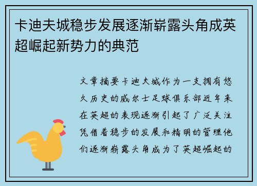 卡迪夫城稳步发展逐渐崭露头角成英超崛起新势力的典范