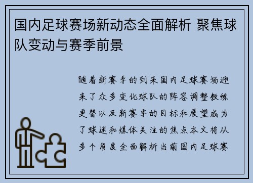 国内足球赛场新动态全面解析 聚焦球队变动与赛季前景